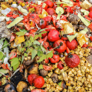 forest-waste-and-residues